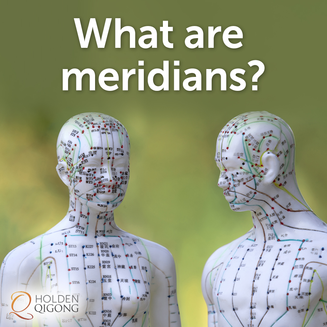 New [Blog] What are meridians? 

holdenqigong.com/what-are-merid… #qigong #healthblog #healthblogger #wellnessblog #wellnessblogger #longevity #vitality #fitness