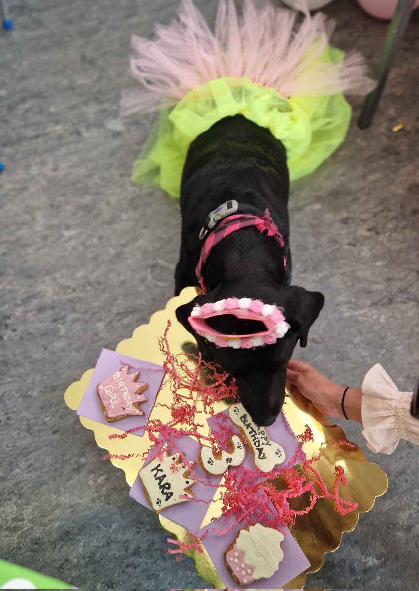 Oide Shona tweet media