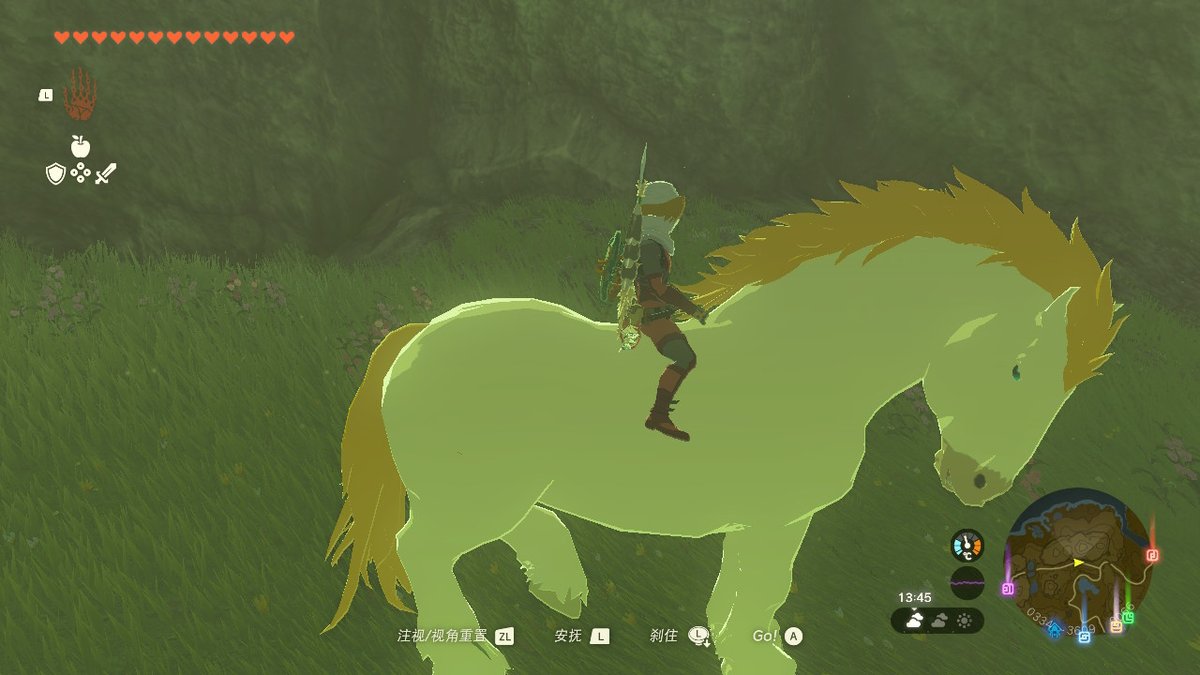 Trivalent_as's tweet photo. #TearsOfTheKingdom #王国之泪 #塞尔达传说 #Zelda #NintendoSwitch https://t.co/KSJJX12FDd