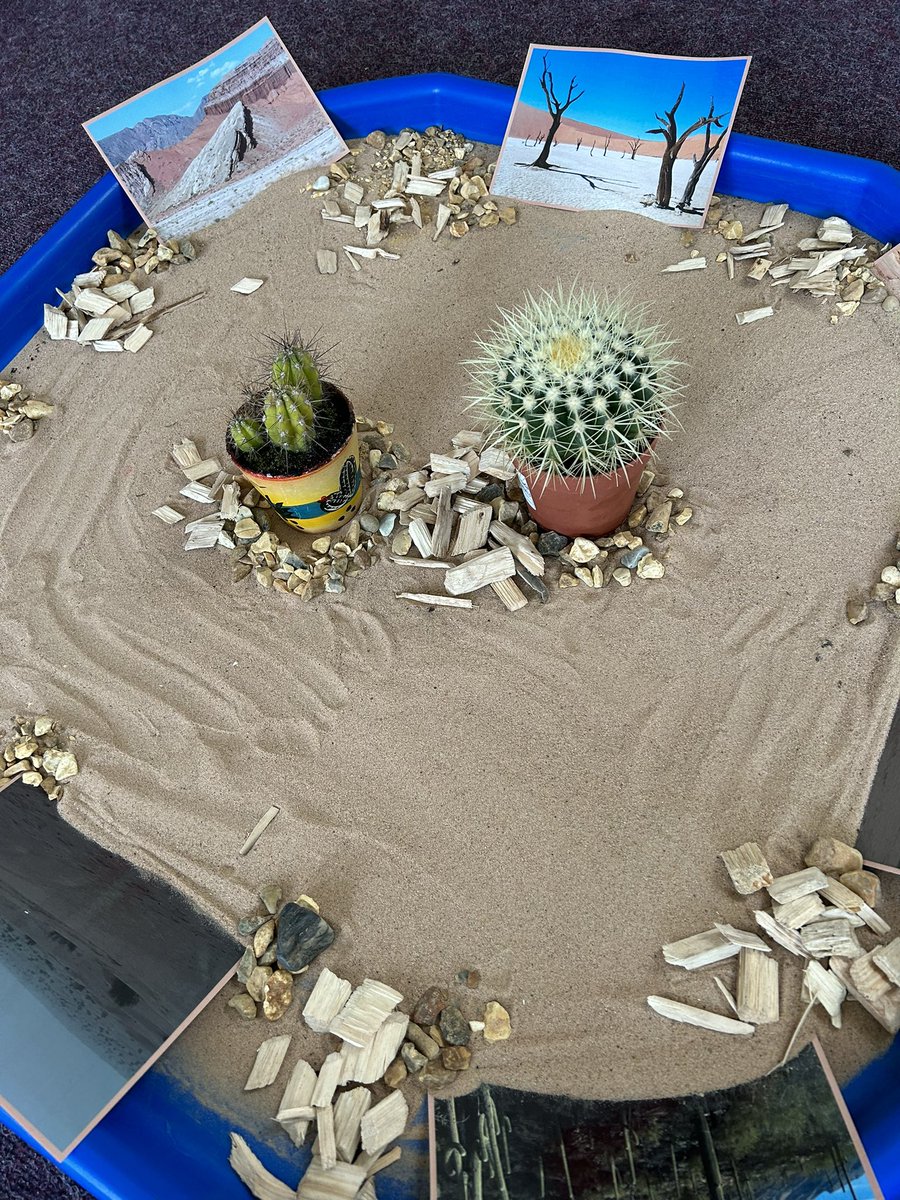 Roscoe_Primary's tweet photo. Today, Reception learned all about the different habitats of plants! We looked at how a cactus is able to survive in the desert as it requires very little water🌵We finished the day decorating our very own cactus cupcakes🧁 #RP_Reception #RP_Science https://t.co/eZuf7Pjf30