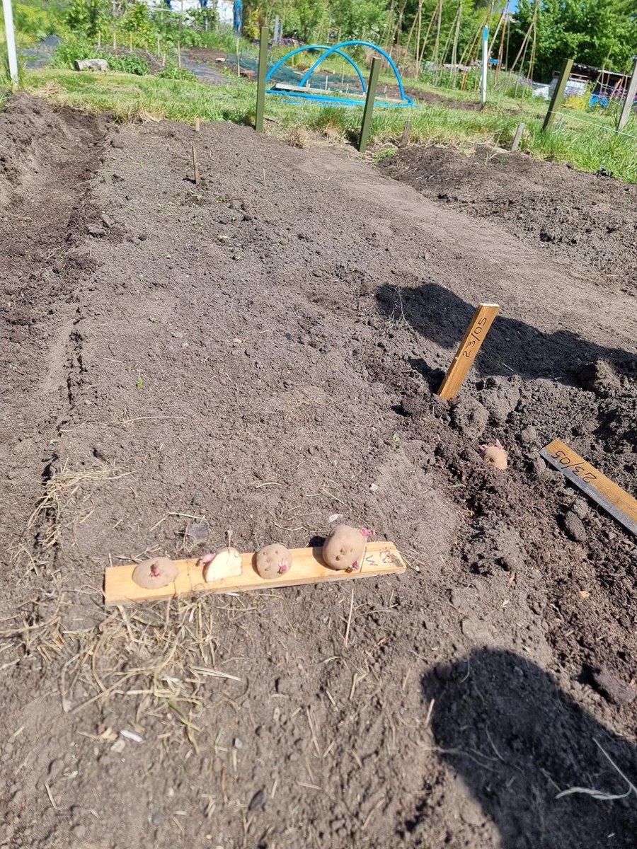 PaulDixon1875's tweet photo. Screwed up face picture because the suns oot on the croft โ๏ธ๐ก๐ป๐ฟ๐ฅ๐
Were getting the potatoes in today ๐
#croftlife
#wedorecover
#MentalHealthAwareness
#SmartRecovery
#LiferingUK
#ERA
โค๏ธโค๏ธโค๏ธโค๏ธโค๏ธโค๏ธโค๏ธโค๏ธโค๏ธ https://t.co/Q16ycUBlRf