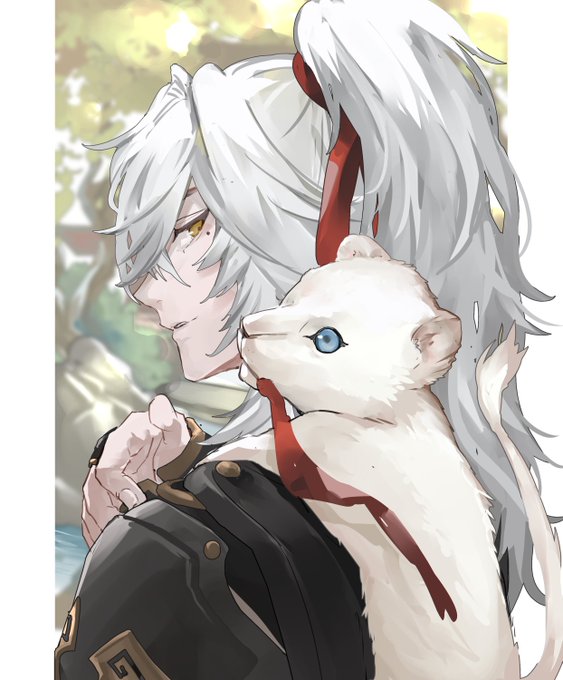 「ロングヘアー 白い猫」のTwitter画像/イラスト(新着)｜4ページ目