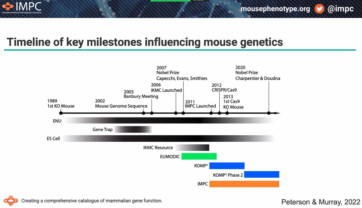 Ever wonder about the background of the mouse genome and what we've been a part of? Take a look: mousephenotype.org/about-impc/