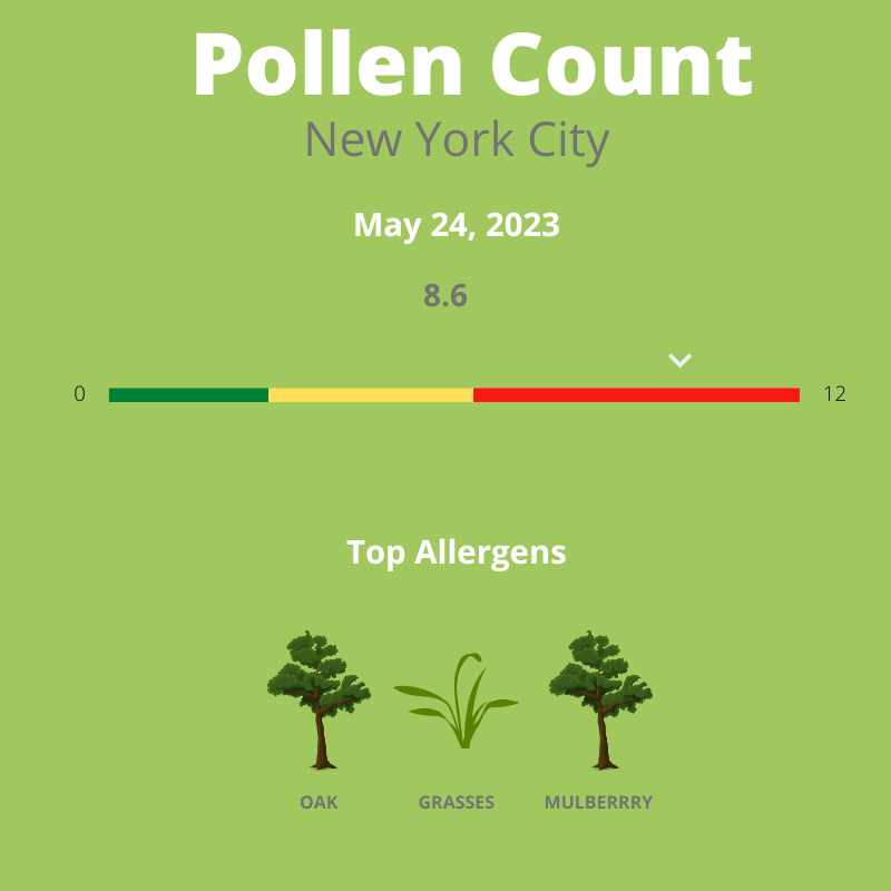 It's another high pollen count day. Did you take your allergy medication?