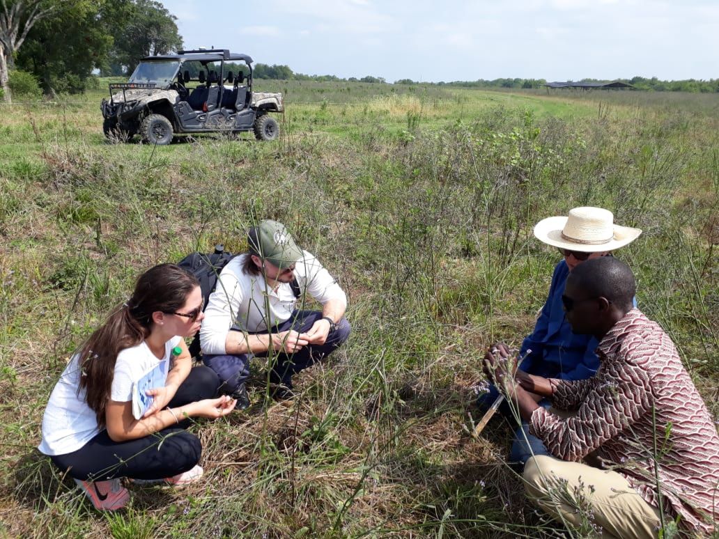 We love seeing fellows in action! 😀 🌾 🌱