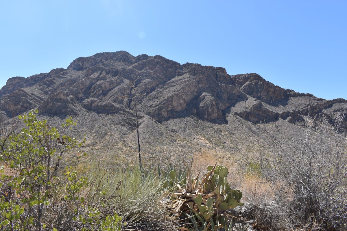 PaleontologiaM's tweet photo. Paleontólogos trabajando en mares del Cretácico. Formación Taraises en Sierra de Parras #Coahuila #amonites https://t.co/hivPOrMlhl