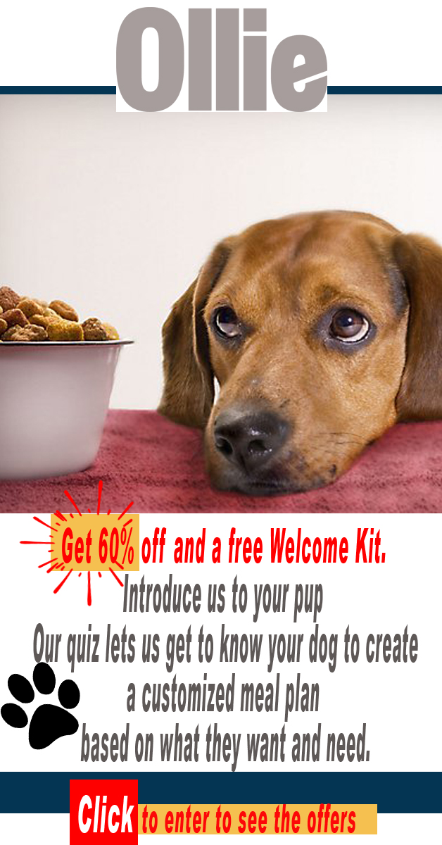 Ollie delivers fresh, healthy dog food
yazing.com/deals/myollie/…
 #dogcollars #shoplocal #dogbandanas #doglife #supportsmallbusiness #petboutique #pettoys #petbandana #dogmom #petapparel #dogclothes #petshoponline #etsy #petlover #puppylove #dogfood #petgrooming #etsyshop #