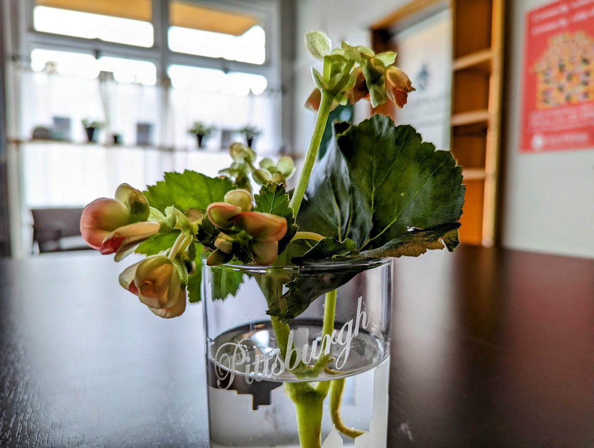 citybridgesclt's tweet image. Helping everyone establish roots.

🌸
🌱

#FightDisplacement #BuildingCommunity #CBCLT #PittsburghHousing #CommunityNotCorporations #HousingIsAHumanRight #HomesForAll #HousingIsHealthcare #RacialJustice #EconomicJustice #HousingJustice #AffordableHousing #AffordablePermanently