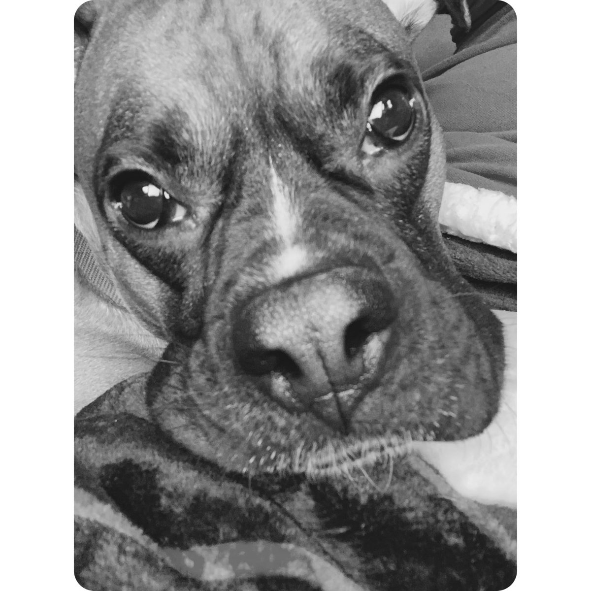 Lisa Solley tweet media