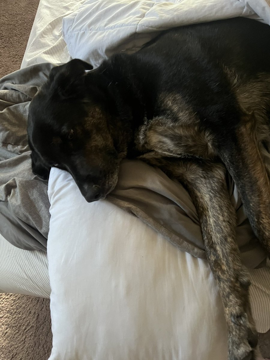 kristabaker™ tweet media