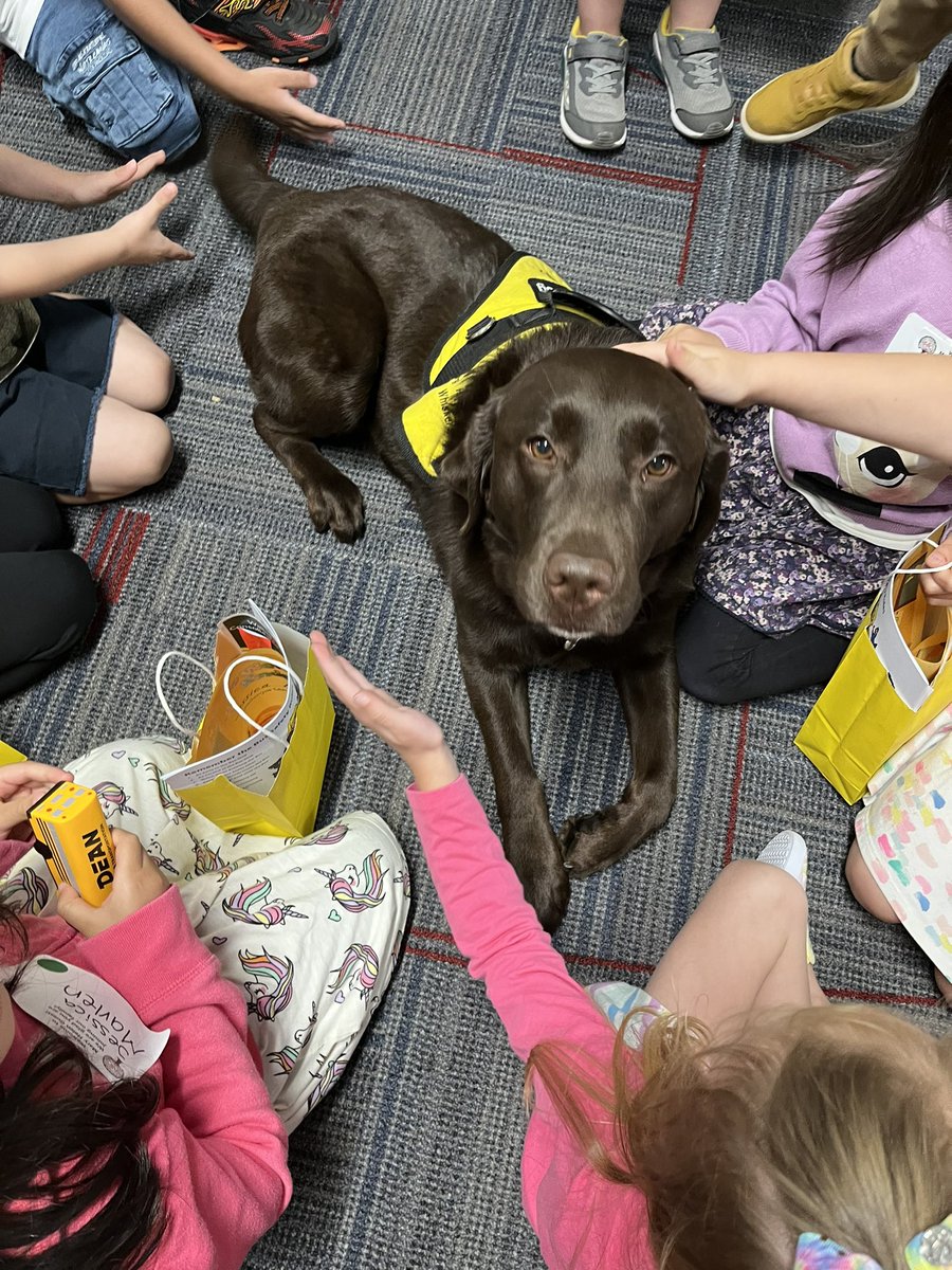 Champ- MHG Therapy Dog (@dog_champion) on Twitter photo Story hour for incoming kindergartners. #FutureKindergarteners #Wildcats <a href="/GuestElementary/">Guest Elementary</a> <a href="/WalledLkSchools/">Walled Lake Schools</a> #weAREwlcsd <a href="/WlcsdD/">WLCSD Therapy Dogs</a> #SchoolTherapyDog Story hour for incoming kindergartners. #FutureKindergarteners #Wildcats <a href="/GuestElementary/">Guest Elementary</a> <a href="/WalledLkSchools/">Walled Lake Schools</a> #weAREwlcsd <a href="/WlcsdD/">WLCSD Therapy Dogs</a> #SchoolTherapyDog