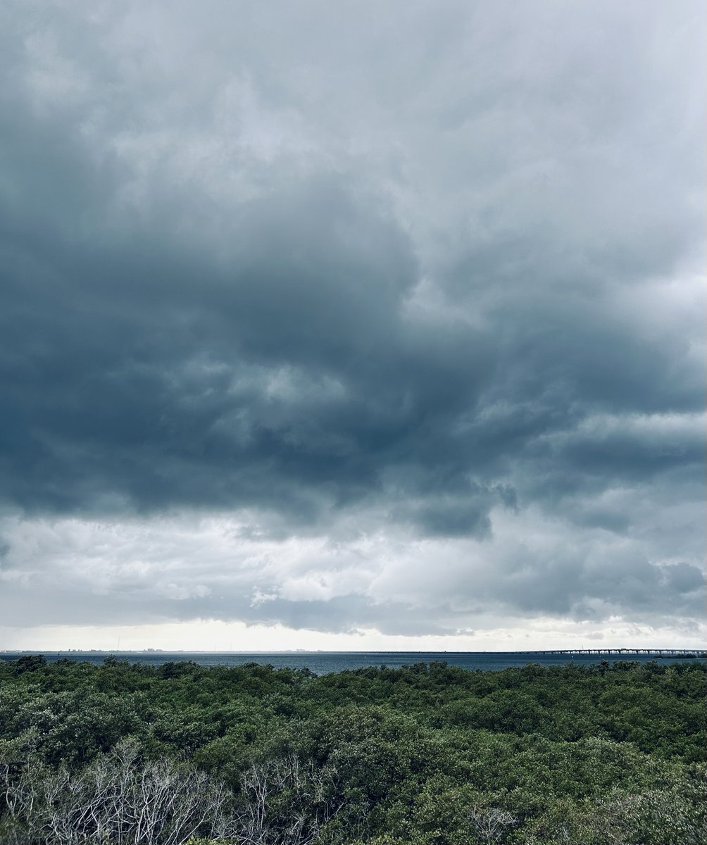 A storm is coming #abileads #baylife #loveyourlife #luckygirl #changeyourlife #celebratechange #celebrate #crazyconfident #tampaphotography #tampalife #tampagirl #tampabay #tampabae #tampa #visittampabay #gulfviews #gratitude #thunderstorm #LifeAfterLeapingIn