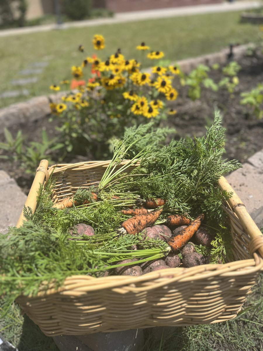 Kara Singleton tweet media