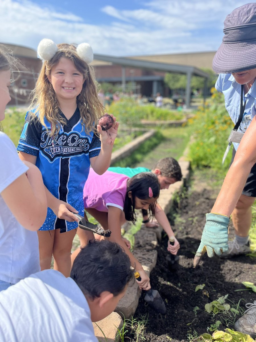 Kara Singleton (@k_singleton123) on Twitter photo Our last garden day of the year was a successful one! We learned about sunflowers, colored with Marigold petals and harvested the potatoes and carrots we planted earlier this year! ☀️ #ExploreWells <a href="/CFISDWells/">Wells Elementary</a> <a href="/readygrowgarden/">Ready to Grow Garden</a> <a href="/CFISDWells3rd/">Wells 3rd Grade</a> Our last garden day of the year was a successful one! We learned about sunflowers, colored with Marigold petals and harvested the potatoes and carrots we planted earlier this year! ☀️ #ExploreWells <a href="/CFISDWells/">Wells Elementary</a> <a href="/readygrowgarden/">Ready to Grow Garden</a> <a href="/CFISDWells3rd/">Wells 3rd Grade</a>