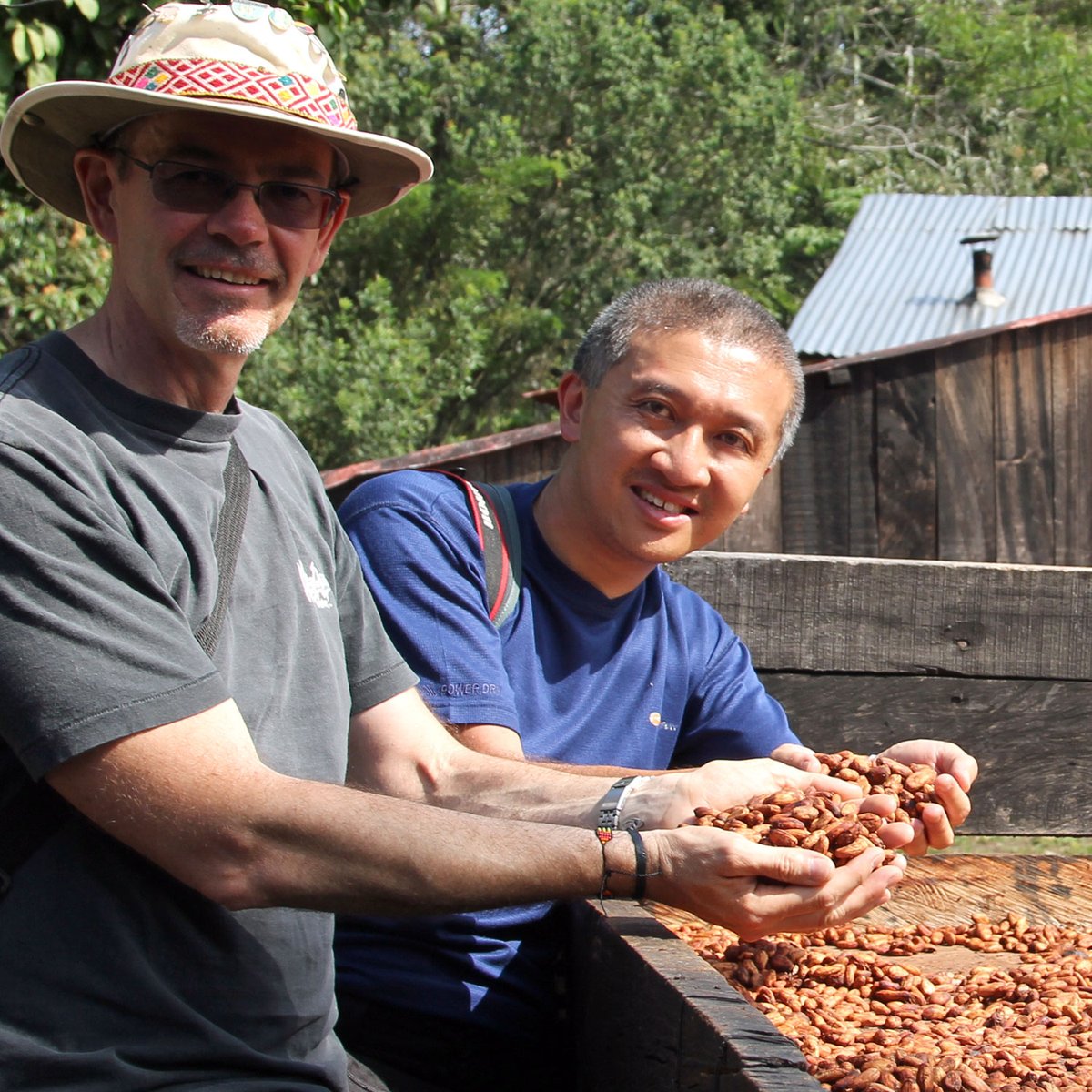 5DChocolates tweet media