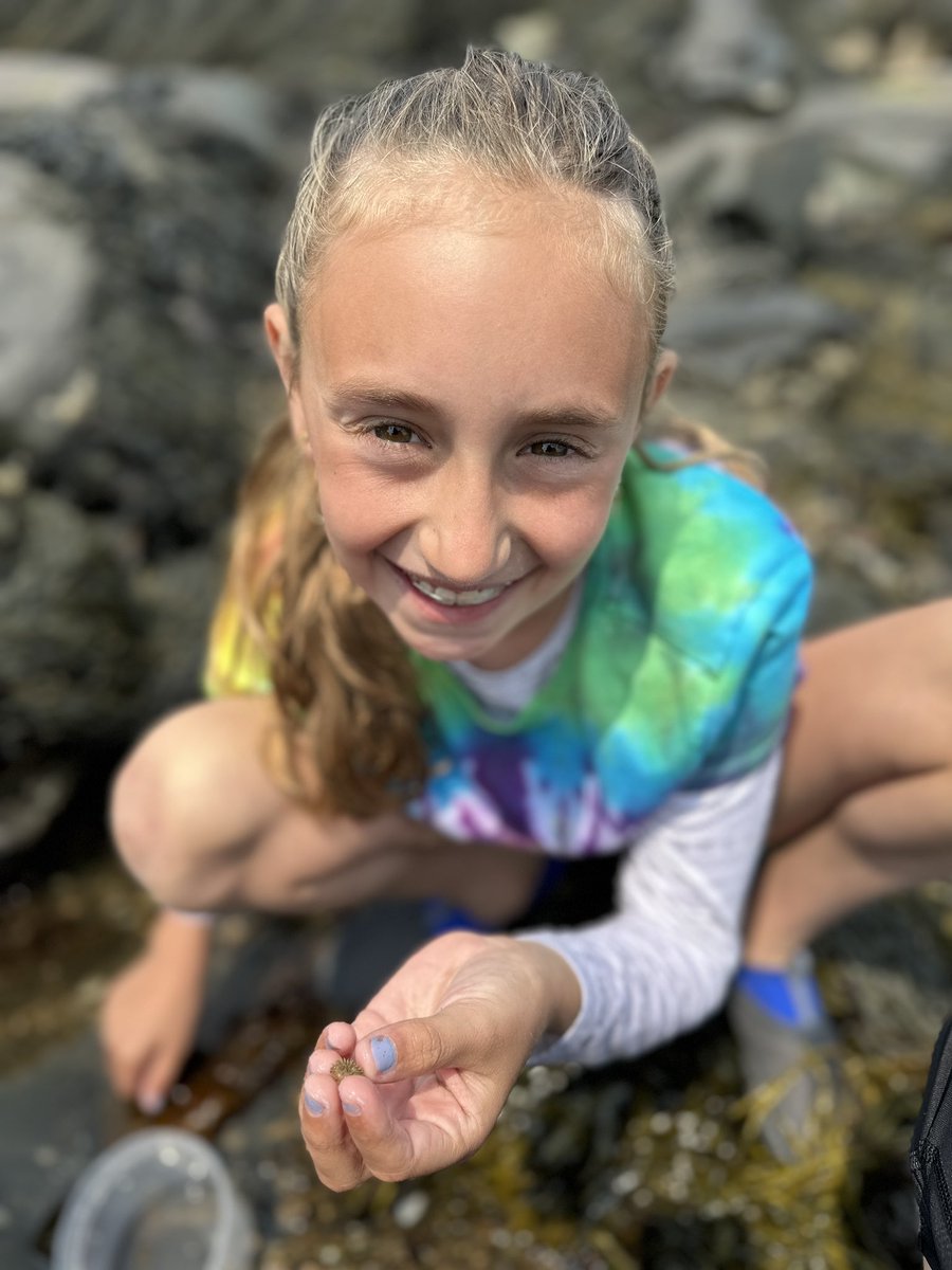 missklipfel's tweet image. Exploring the tide pools today 🦀🦞🦐#explorermindset #connectfurther