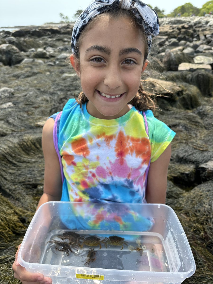 missklipfel's tweet image. Exploring the tide pools today 🦀🦞🦐#explorermindset #connectfurther