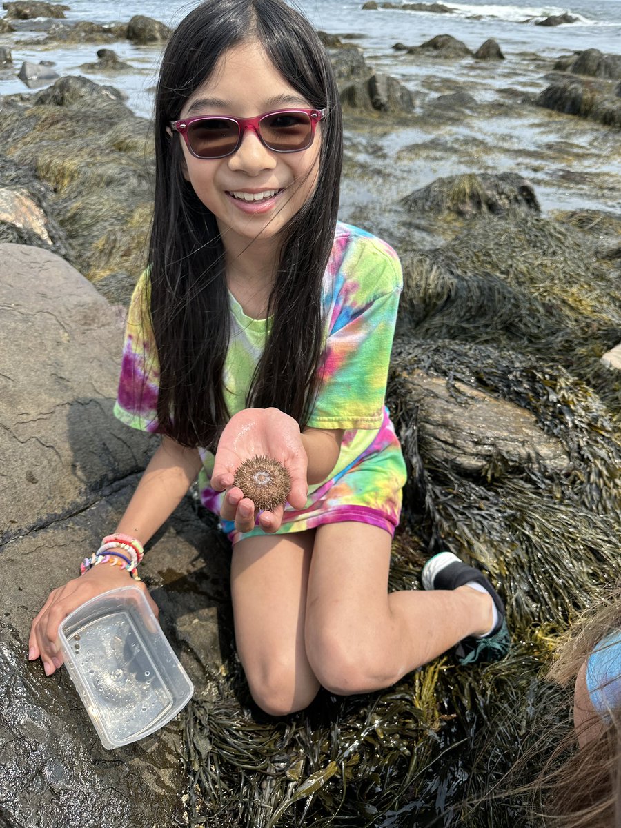 missklipfel's tweet image. Exploring the tide pools today 🦀🦞🦐#explorermindset #connectfurther