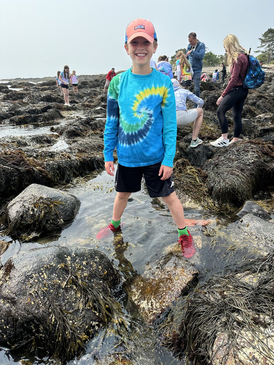 missklipfel's tweet image. Exploring the tide pools today 🦀🦞🦐#explorermindset #connectfurther