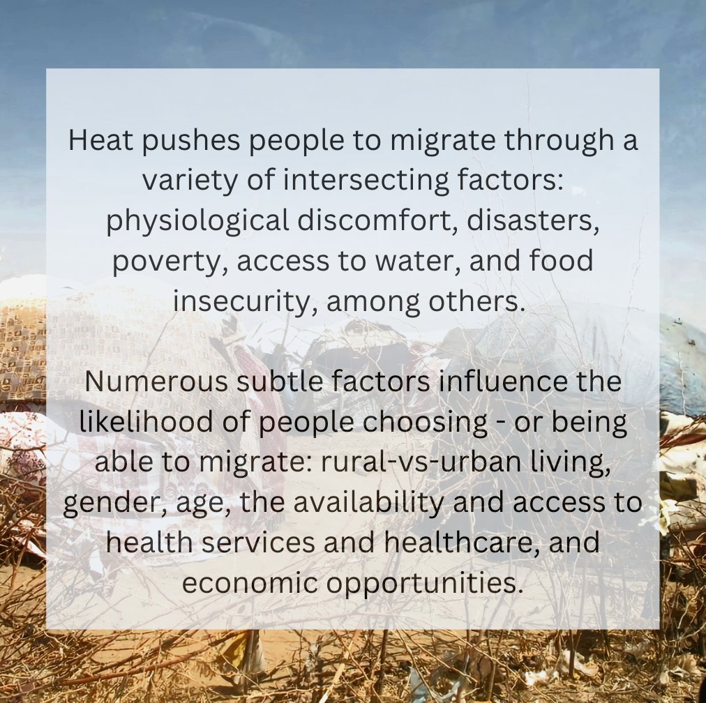 🌡️ Of 32 studies on how heat impacts migration, half showed correlation between exposure to heat & likelihood of migration, more-so in high and middle income countries 📷 @MSF in Dadaab refugee camp in Kenya