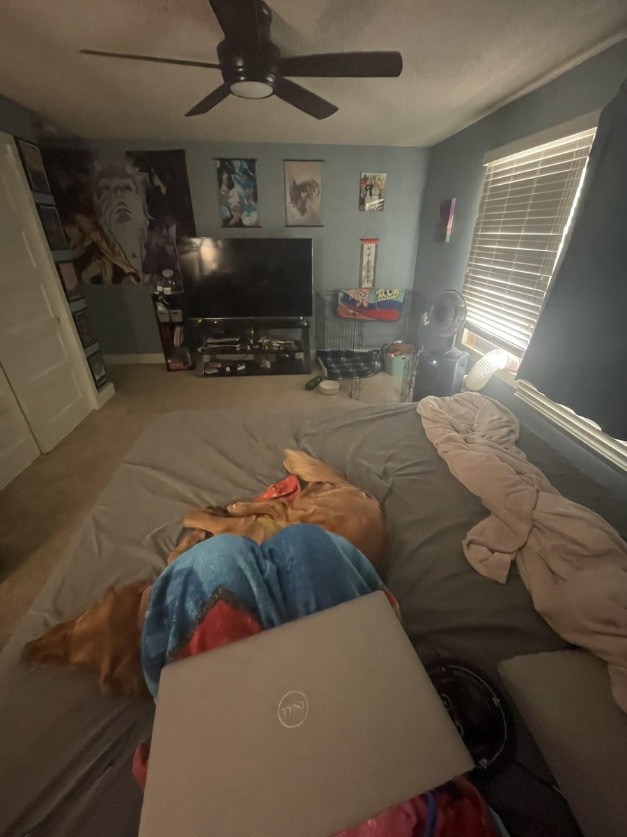 k8gibbo's tweet photo. a whole king size bed and this is where she chooses to nap https://t.co/0h8Wx0K0iz