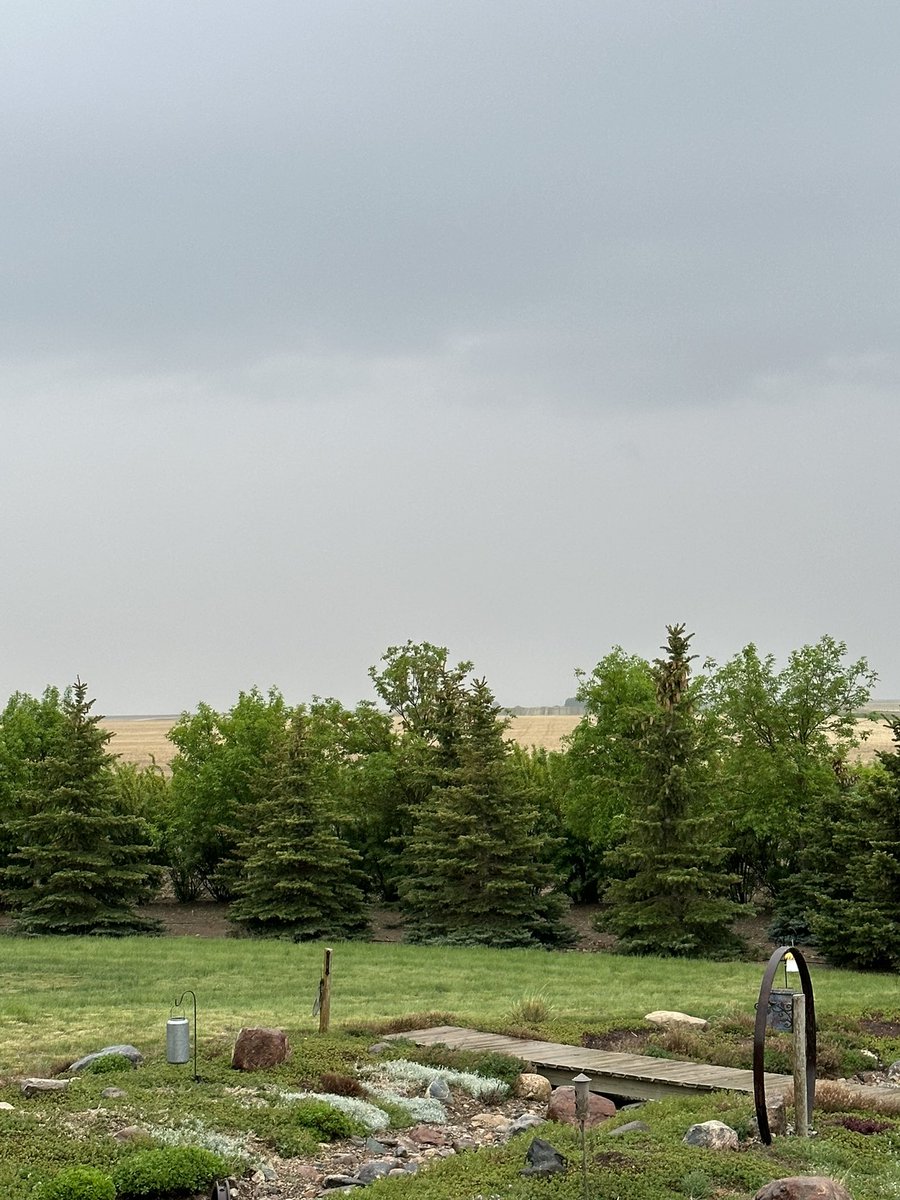 Brenda Walde tweet media