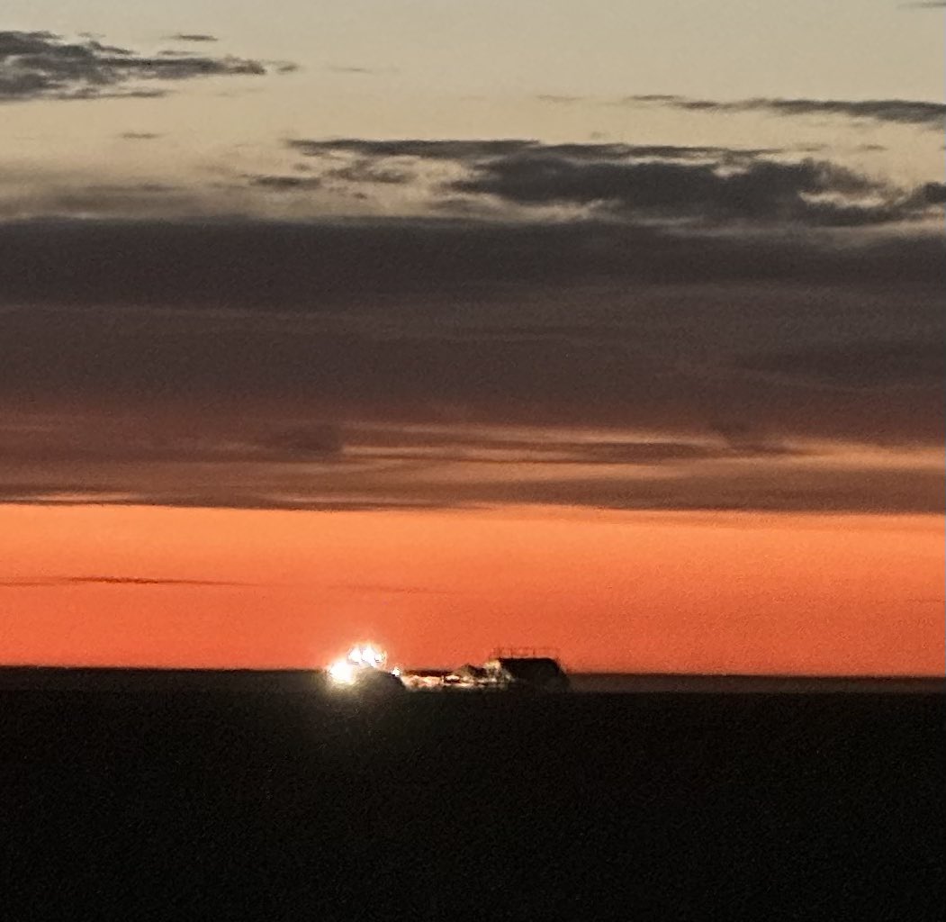 Brenda Walde tweet media