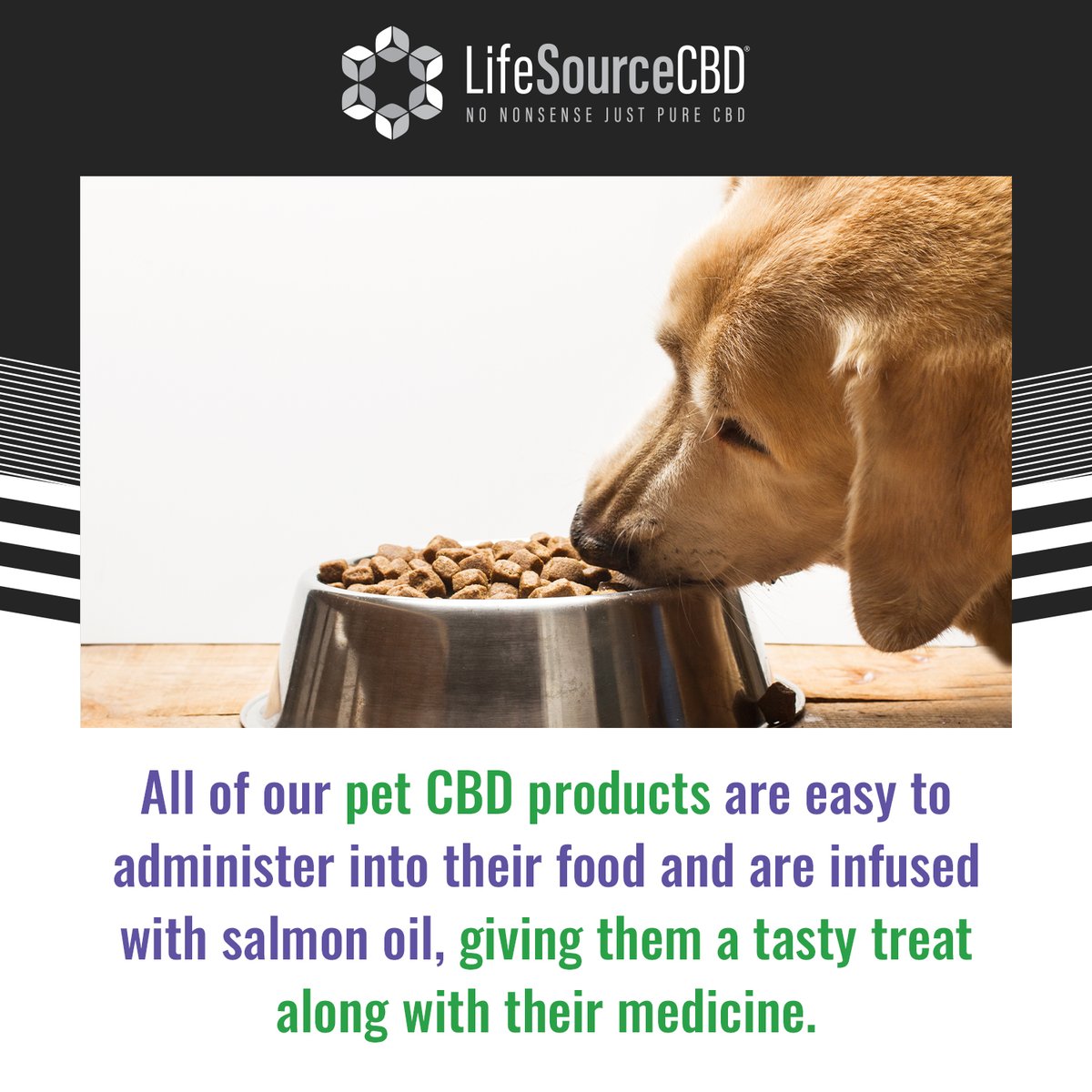 lifesourcecbd's tweet image. At our store, we know that pets are family too - we offer the highest quality CBD products for your furry friends! 💚 Our pet CBD range is easy to administer, simply add it to their food for a tasty treat that doubles as medicine. 

#cbd #cbdoil #cbdhealth #cbdproducts