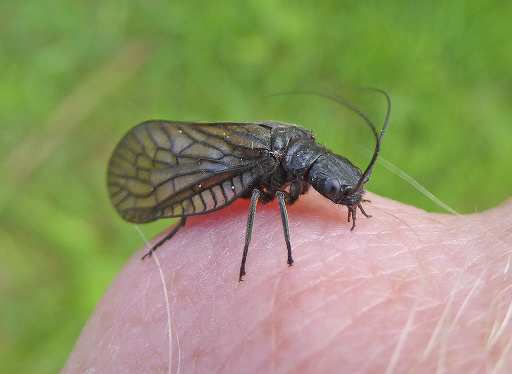 Ben Dolphin 🏴󠁧󠁢󠁳󠁣󠁴󠁿❄️ tweet media