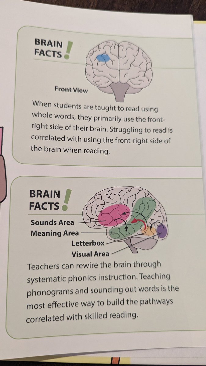 Loving this new children's book I just purchased by Denise Eide!  It also has sidebars on every page that explain in a bit more detail for the adults. 🧠💡 #scienceofreading #knowbetterdobetter #untilallcanread #literacyforall