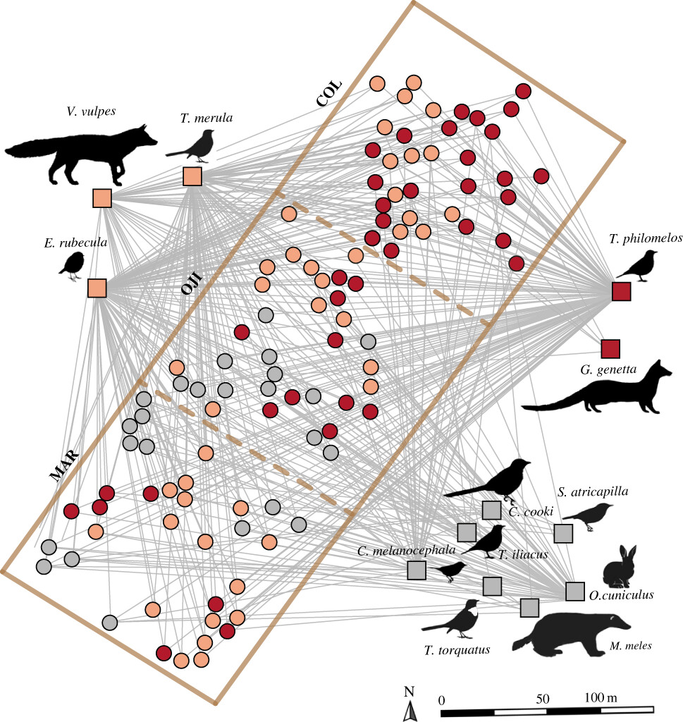Royal Society Publishing (@rsocpublishing) on Twitter photo What role do plant-animal interactions have on plant colonisation? #ProcB ow.ly/xaVf50OvfY5 <a href="/Jorge_island/">Jorge Isla</a> <a href="/jac_mig/">Miguel Jácome-Flores</a> <a href="/pedro_jordano/">Pedro Jordano</a> <a href="/ebdonana/">Estación Biológica de Doñana - CSIC</a> #OpenAccess What role do plant-animal interactions have on plant colonisation? #ProcB ow.ly/xaVf50OvfY5 <a href="/Jorge_island/">Jorge Isla</a> <a href="/jac_mig/">Miguel Jácome-Flores</a> <a href="/pedro_jordano/">Pedro Jordano</a> <a href="/ebdonana/">Estación Biológica de Doñana - CSIC</a> #OpenAccess