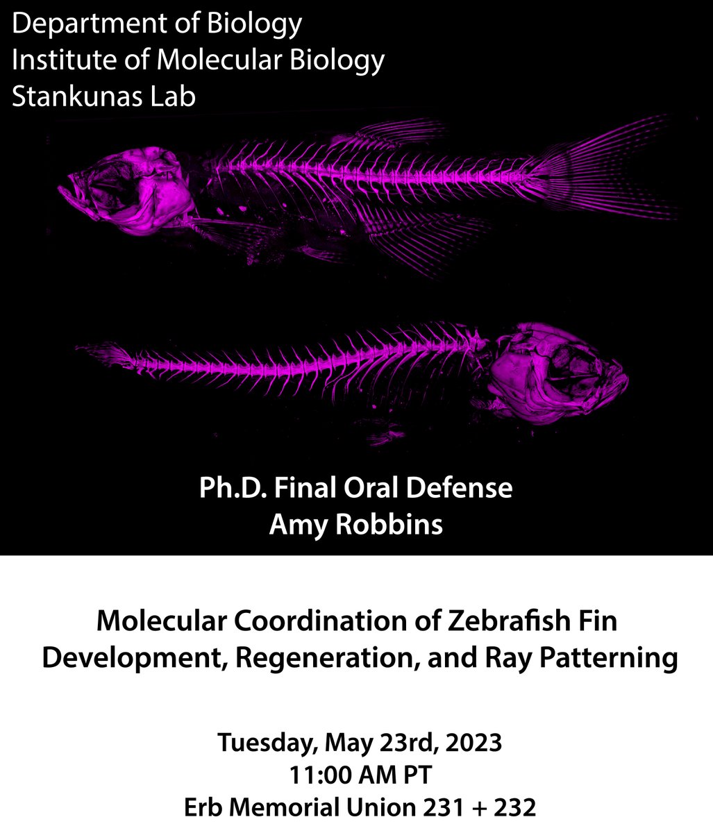 Amy Robbins tweet media