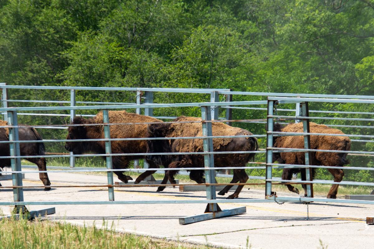 PBPNation tweet media