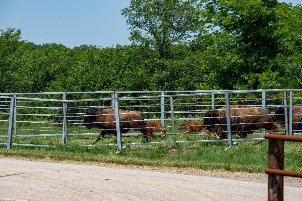 PBPNation tweet media