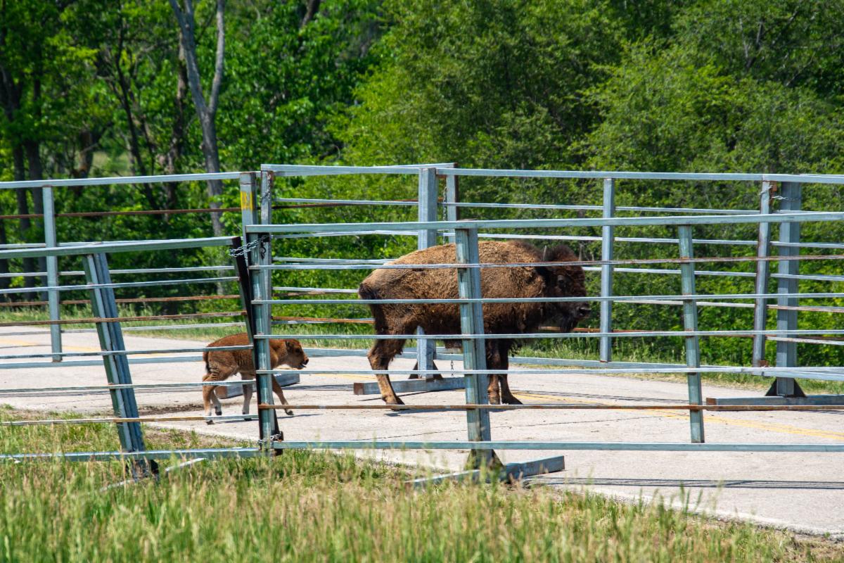 PBPNation tweet media