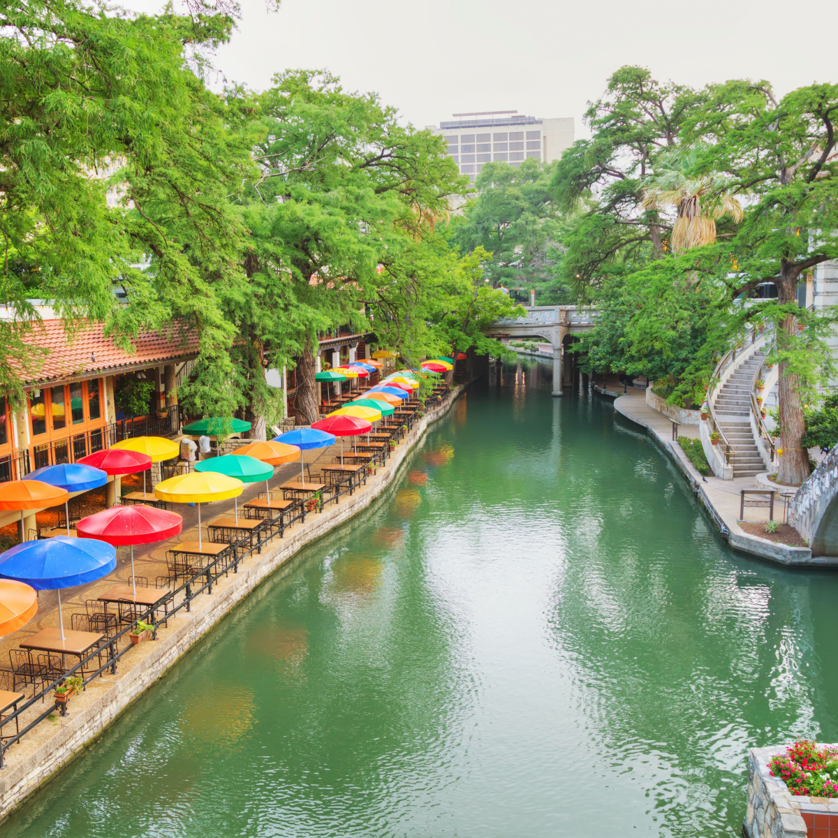 FirstClassTours's tweet image. Embark on a culinary adventure through the vibrant food scene of San Antonio with us. Step aboard our luxurious motorcoaches as we guide you through the flavors and traditions that make this city a foodie's paradise. Experience group travel that is #FirstClass.