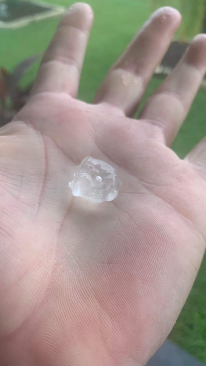 Rubén Capote tweet media