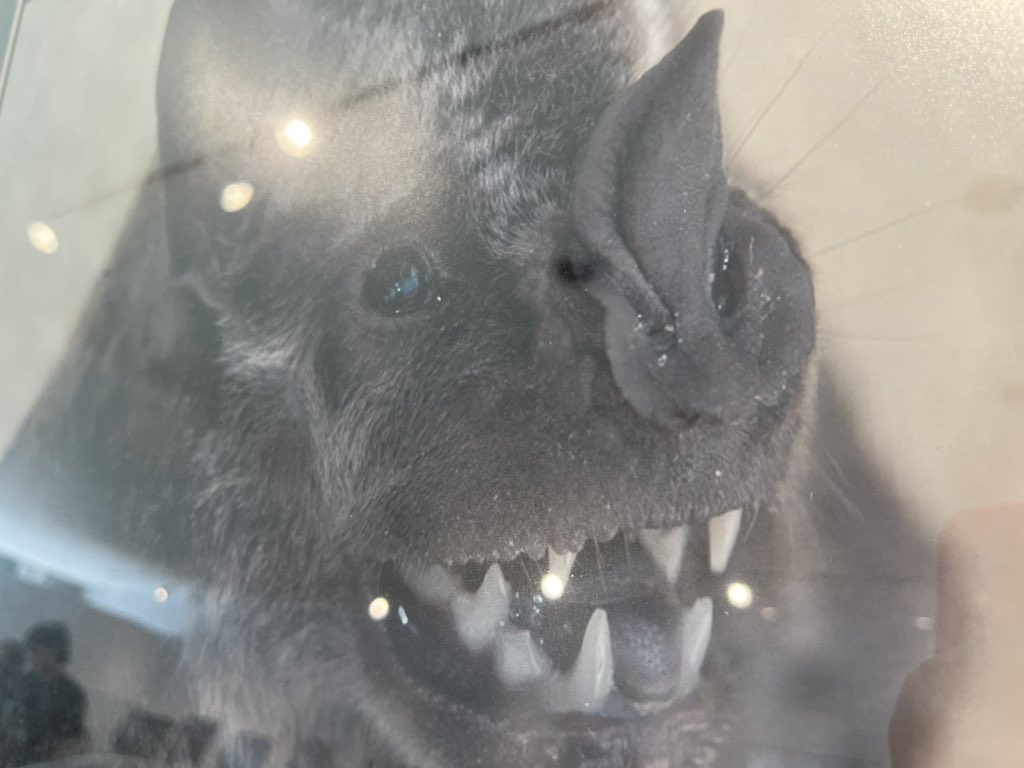 Continúa la exposición Memorias de un biólogo, hasta el 30 de este mes. No dejen de visitar la Galería de arte de la UAM Iztapalapa. 🤗
#UAM #UAMI