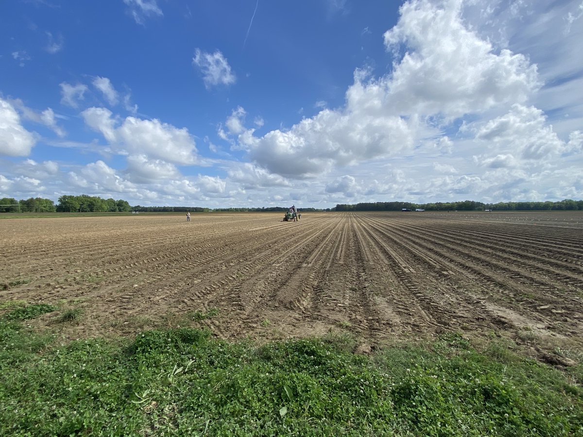 North Carolina cotton planting with plant-based amino acid biostimulant trial is in the ground. Working to bring farmers cost-effective regenerative tools to improve yield and sustainability. #regenerativeagriculture #biostimulants #cotton