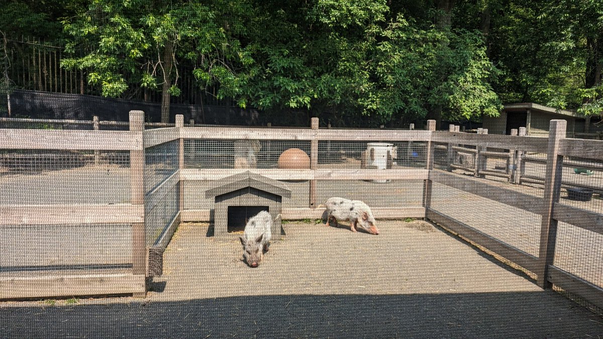 Jennifer B tweet media