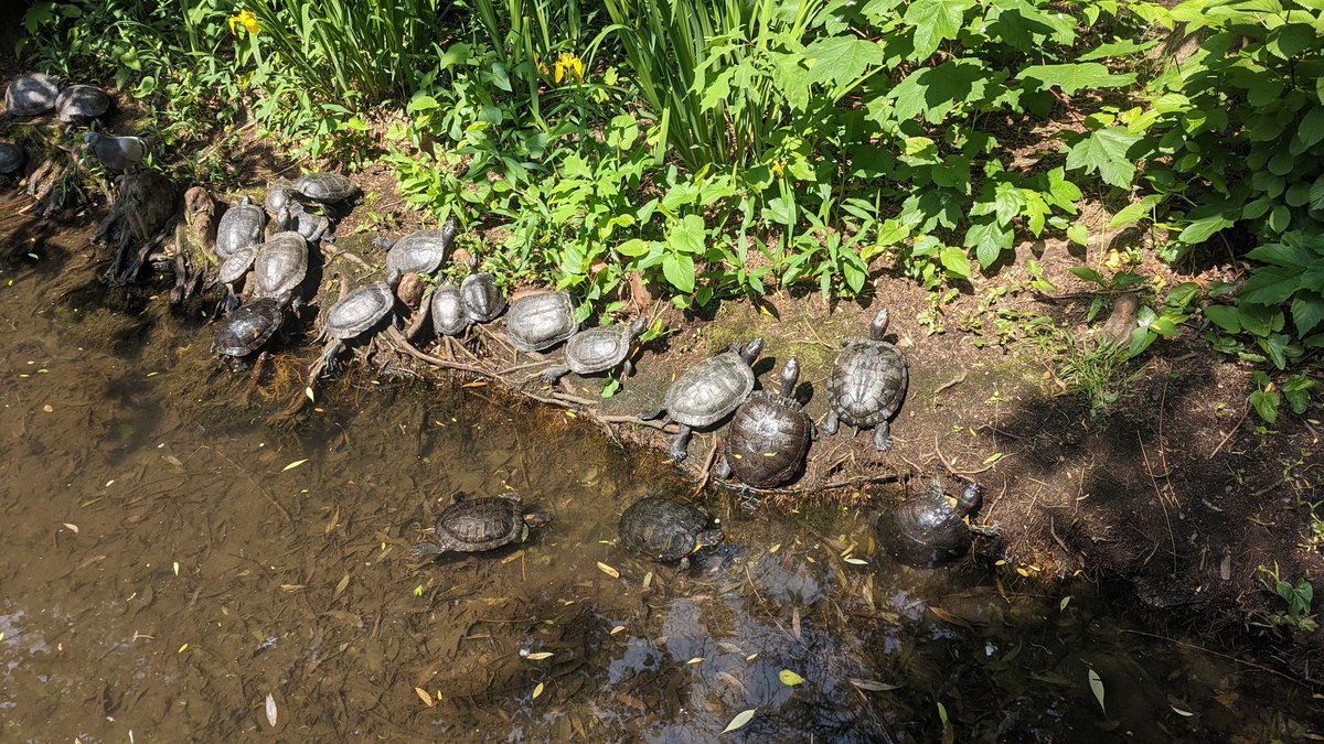We loved the bright sunny weather for our trip to the Prospect Park Zoo. We learned about so many different animals.  <a href="/prospectparkzoo/">Prospect Park Zoo</a>