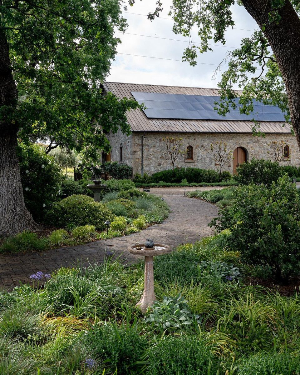 ASH Napa (@ashnapa) on Twitter photo Lush, spring mornings at <a href="/SpottswoodeWine/">Spottswoode</a>🌳🍷
To reserve your visit: l8r.it/64DP
#napavineyard #napa #cabernetsauvignon #napacab #napawine #winewednesday #winetasting #wine Lush, spring mornings at <a href="/SpottswoodeWine/">Spottswoode</a>🌳🍷
To reserve your visit: l8r.it/64DP
#napavineyard #napa #cabernetsauvignon #napacab #napawine #winewednesday #winetasting #wine