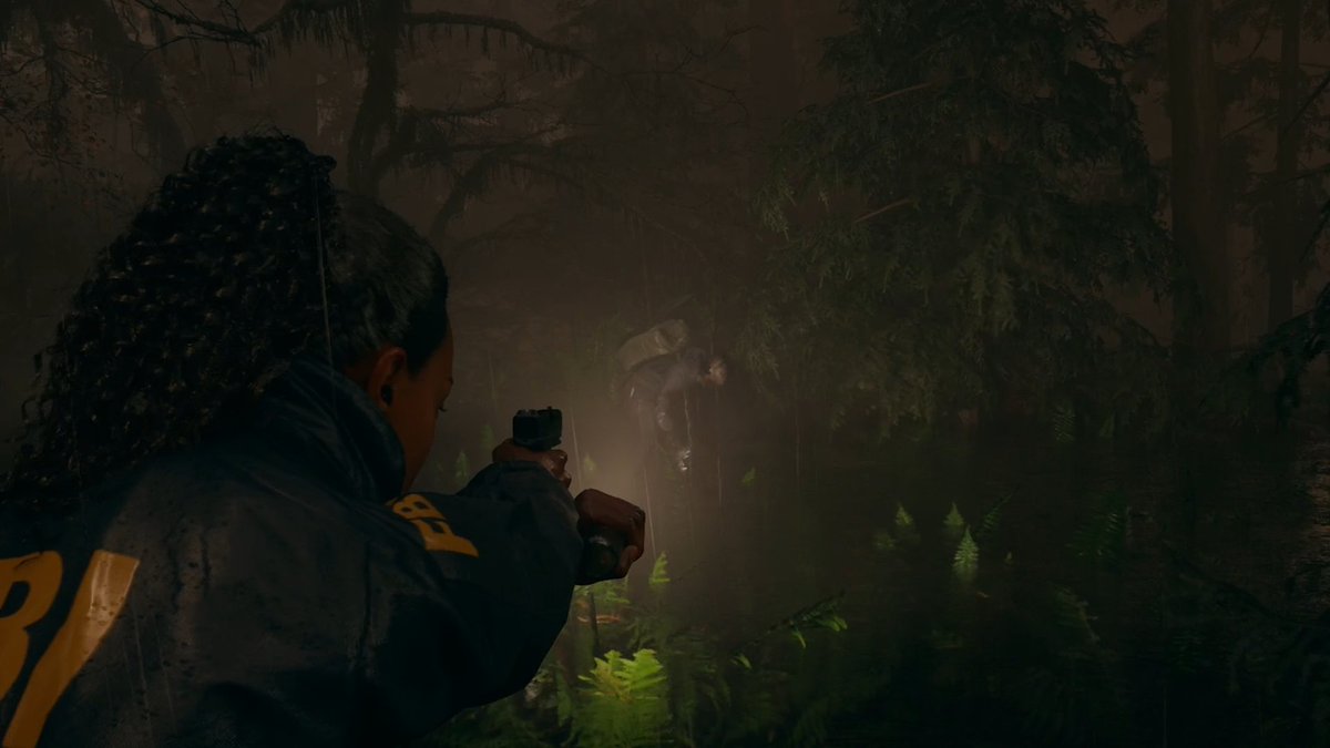 Wario64's tweet photo. Alan Wake 2 out Oct 17th https://t.co/EIcisDdrUU
