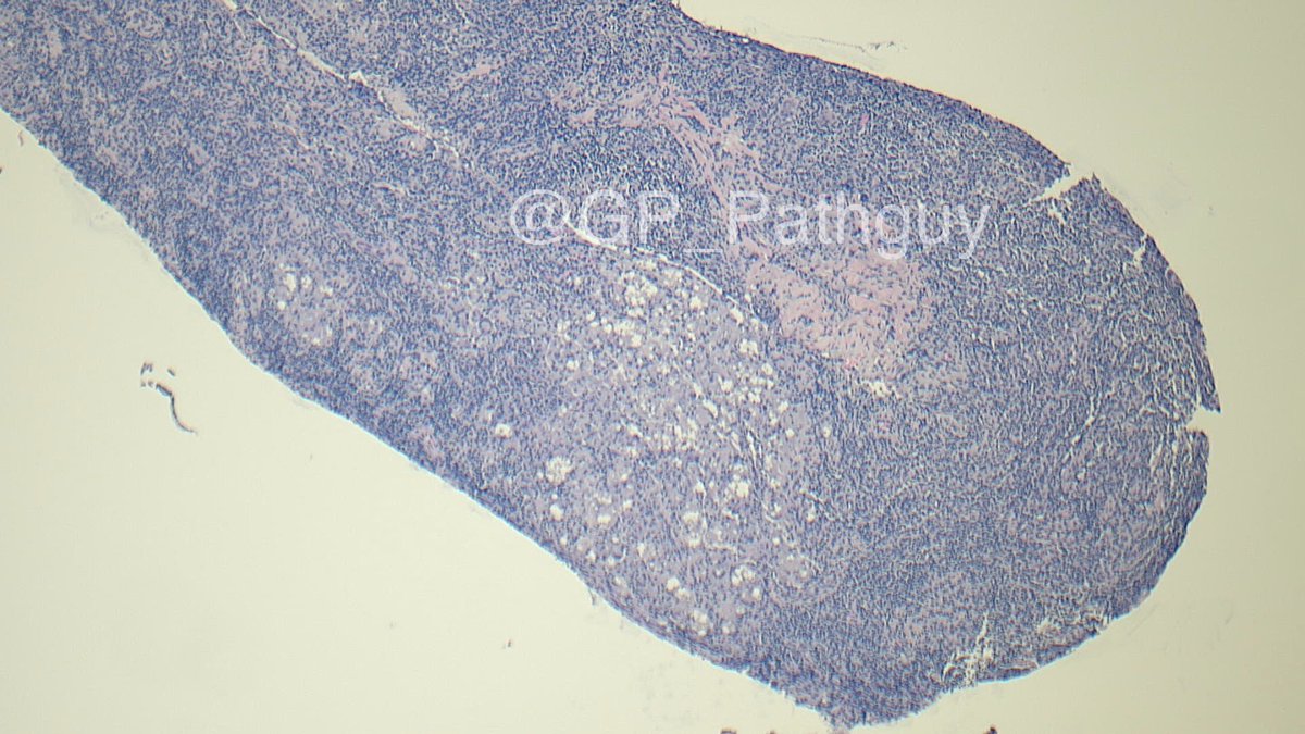 Glenn Murray tweet media