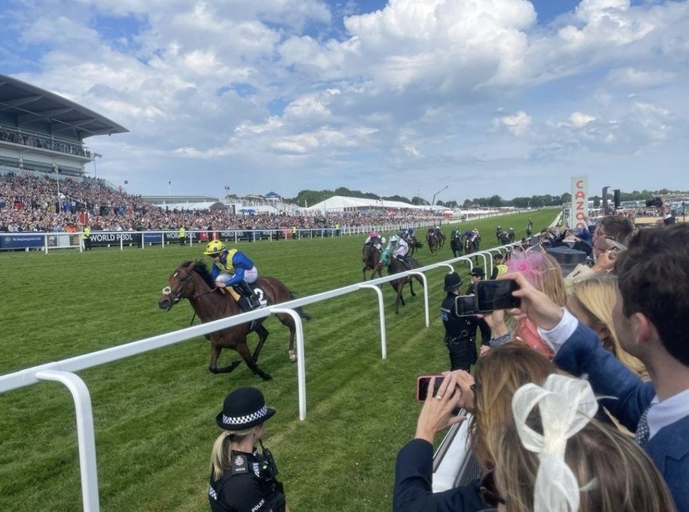 racingblogger's tweet image. 💷 If DESERT CROWN Wins the Brigadier Gérard Stakes tomorrow, I'll give £50 Cash to one of you Lucky People!! 🥇

To Enter: 👇

1️⃣ RT this Tweet
2️⃣ Follow @racingblogger

🚨 instagram.com/racingblogger

#DesertCrown #Horses #Win 🏇