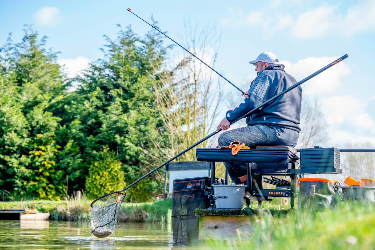 Team Guru tweet media