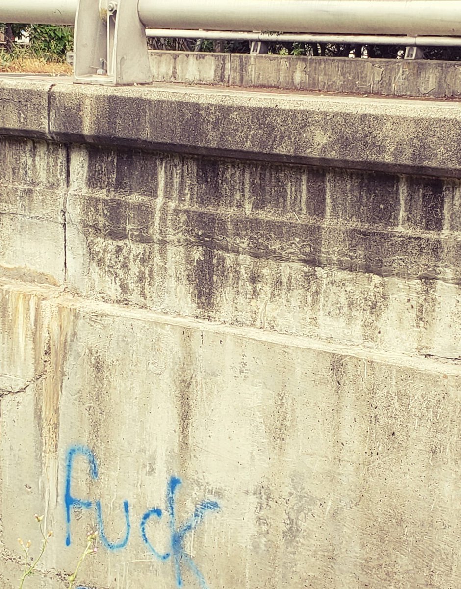 The_LadyAnn's tweet image. When your walk takes you close to the local high school. (I think this young graffiti artist speaks for many of us.) #editorialcomment