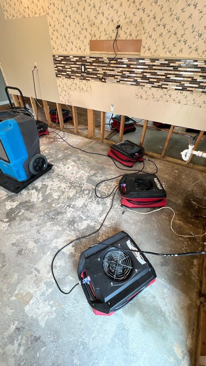 Bulovas Restorations tweet media