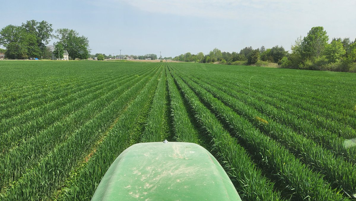 Woody Van Arkel🧢 🇨🇦🌽🐖🚲🌞🍺 tweet media