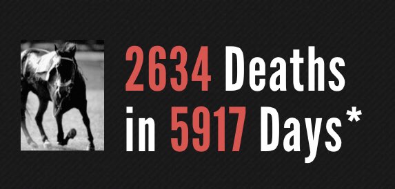 Update: 7 dead #racehorses in the last 4 days 💔💔💔☠️🐎

#Hill16 #BloodSport #Exploitation
#EndSpeciesism ⚖️ #BeVegan
